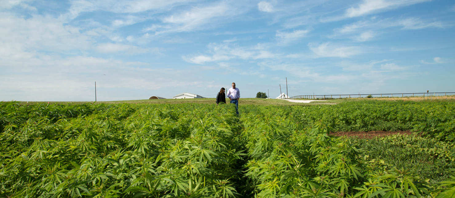 CV Sciences Sponsors University of Kentucky Student for Hemp Research